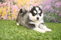 processed/437974a7-a463-427c-8264-8e668b295d69/listing/099b8ee5-fe87-4d8b-8b2e-4153a0ef2b1c/28a7ee80-e0dc-4c40-af3a-11ff68d65266