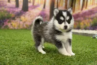 processed/437974a7-a463-427c-8264-8e668b295d69/listing/099b8ee5-fe87-4d8b-8b2e-4153a0ef2b1c/4cbb8024-8476-4d73-9e73-378eb5d48bd3