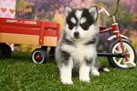 processed/437974a7-a463-427c-8264-8e668b295d69/listing/099b8ee5-fe87-4d8b-8b2e-4153a0ef2b1c/5b38efcb-95cd-41f1-9558-d3f1165de1af