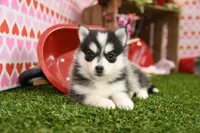 processed/437974a7-a463-427c-8264-8e668b295d69/listing/099b8ee5-fe87-4d8b-8b2e-4153a0ef2b1c/9f0bb86e-76ad-43bc-9d14-3ad2029fcf5f