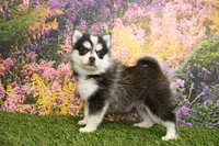 processed/437974a7-a463-427c-8264-8e668b295d69/listing/099b8ee5-fe87-4d8b-8b2e-4153a0ef2b1c/a7aee2c3-737e-4b13-8bcd-2c3cb91f9554