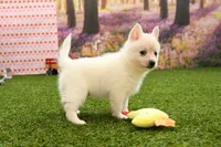 processed/437974a7-a463-427c-8264-8e668b295d69/listing/1d602d19-3e26-4ebe-8fee-a608c855ac27/2a68c345-0d48-443e-8368-d367eedec453