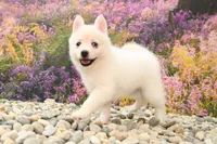 processed/437974a7-a463-427c-8264-8e668b295d69/listing/1d602d19-3e26-4ebe-8fee-a608c855ac27/5e525f8a-a904-4845-9d15-aaa6b6b6fe03