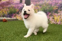 processed/437974a7-a463-427c-8264-8e668b295d69/listing/1d602d19-3e26-4ebe-8fee-a608c855ac27/dbf0fa95-7c7b-4791-a536-3ae9475ea0fc