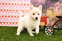 processed/437974a7-a463-427c-8264-8e668b295d69/listing/1d602d19-3e26-4ebe-8fee-a608c855ac27/f23940ad-12df-4353-bbca-826b80665ab6