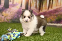 processed/437974a7-a463-427c-8264-8e668b295d69/listing/2104acaf-aab8-48a2-b271-fa0c44fc4726/137adae8-f28a-461f-bc07-7655ef537834