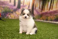 processed/437974a7-a463-427c-8264-8e668b295d69/listing/2104acaf-aab8-48a2-b271-fa0c44fc4726/9efffe35-c0bf-4c84-84d9-067ebf369871