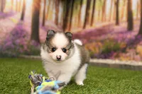 processed/437974a7-a463-427c-8264-8e668b295d69/listing/2104acaf-aab8-48a2-b271-fa0c44fc4726/d7cdceb6-0b2b-475b-a5e8-c0ac2946fbef