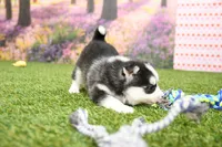 processed/437974a7-a463-427c-8264-8e668b295d69/listing/38f11d12-665c-48f4-97ec-856fb50563b2/cf4c3fb8-8e0e-4466-b38f-42c802bf1035