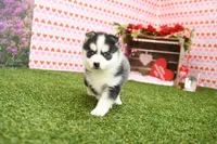 processed/437974a7-a463-427c-8264-8e668b295d69/listing/38f11d12-665c-48f4-97ec-856fb50563b2/d96d21da-f394-4248-95b6-e6886154f093