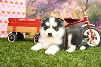 processed/437974a7-a463-427c-8264-8e668b295d69/listing/38f11d12-665c-48f4-97ec-856fb50563b2/f43151f5-fc79-4e26-9897-b4e7c3ab215b