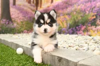 processed/437974a7-a463-427c-8264-8e668b295d69/listing/3d48f1ea-3c76-4674-8ae9-5438f66f6609/00166a45-d8e1-4f1e-a488-386476d06ed0