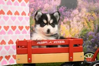 processed/437974a7-a463-427c-8264-8e668b295d69/listing/3d48f1ea-3c76-4674-8ae9-5438f66f6609/30aea3ea-0fe5-49aa-b3a3-1ef793eb6331