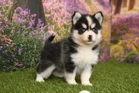 processed/437974a7-a463-427c-8264-8e668b295d69/listing/3d48f1ea-3c76-4674-8ae9-5438f66f6609/d7a6d2ea-af36-4bca-9cb9-4704594f22ec