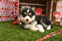 processed/437974a7-a463-427c-8264-8e668b295d69/listing/438cc4bf-3577-4d16-9852-8cb8a9d5314d/15cf5ea1-a00a-4c06-b061-2dbb5b18d089