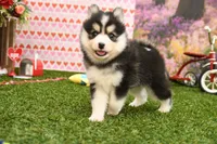 processed/437974a7-a463-427c-8264-8e668b295d69/listing/438cc4bf-3577-4d16-9852-8cb8a9d5314d/2996c200-d9c4-47a6-9de9-b4fc4a8c6c81