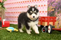 processed/437974a7-a463-427c-8264-8e668b295d69/listing/438cc4bf-3577-4d16-9852-8cb8a9d5314d/6903777e-b12d-4a6f-a7d7-ca82f3079bb3