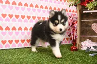 processed/437974a7-a463-427c-8264-8e668b295d69/listing/438cc4bf-3577-4d16-9852-8cb8a9d5314d/8aee5885-4c4e-41e6-b289-43cc36023abd