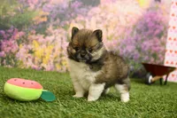 processed/437974a7-a463-427c-8264-8e668b295d69/listing/4d7cb1f4-f0e5-48b1-93ba-c34e6fd88d61/352ae815-df0c-43f0-8317-66dd18f6f0e1