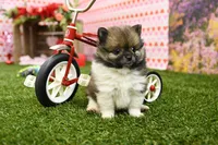 processed/437974a7-a463-427c-8264-8e668b295d69/listing/4d7cb1f4-f0e5-48b1-93ba-c34e6fd88d61/3991fd0b-db69-4ccf-ad7c-a6225f6bc197