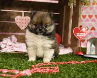 processed/437974a7-a463-427c-8264-8e668b295d69/listing/4d7cb1f4-f0e5-48b1-93ba-c34e6fd88d61/772e2335-d229-4948-b6a7-2f1a696fecf0