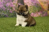 processed/437974a7-a463-427c-8264-8e668b295d69/listing/4d7cb1f4-f0e5-48b1-93ba-c34e6fd88d61/866c5fd6-1d3a-4705-b1ed-cfd27eee6a3f