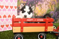 processed/437974a7-a463-427c-8264-8e668b295d69/listing/4f4a7dbc-3dc0-42ec-9f8b-fea91c39d9ee/f704a073-adfd-488e-8e80-230494408215