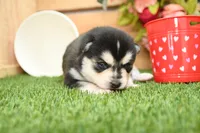 processed/437974a7-a463-427c-8264-8e668b295d69/listing/5981206f-a8f6-4141-9587-3a78eaea1e23/1e707a16-e4f6-437e-be54-0fae7f903d70