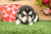 processed/437974a7-a463-427c-8264-8e668b295d69/listing/5981206f-a8f6-4141-9587-3a78eaea1e23/a5c39b12-89fd-402e-b8fa-9ba6e6fe8b28