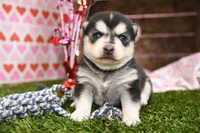 processed/437974a7-a463-427c-8264-8e668b295d69/listing/5981206f-a8f6-4141-9587-3a78eaea1e23/aa55403e-9380-4f76-ae4f-41edf87197d5