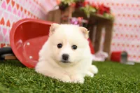 processed/437974a7-a463-427c-8264-8e668b295d69/listing/78b672f2-c8c8-4d79-8684-db3bc092056f/071ecc03-bf44-446b-b9bb-56e0df16b754