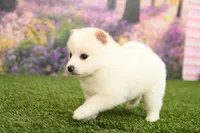 processed/437974a7-a463-427c-8264-8e668b295d69/listing/78b672f2-c8c8-4d79-8684-db3bc092056f/967eb36b-543c-47c5-b5d1-a5cd548b0ac7