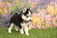 processed/437974a7-a463-427c-8264-8e668b295d69/listing/854817b3-2d0c-4e16-a74a-037b40d84813/9a0c8518-14dc-45bf-821a-2a6f46307a36