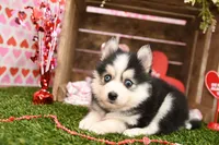 processed/437974a7-a463-427c-8264-8e668b295d69/listing/854817b3-2d0c-4e16-a74a-037b40d84813/9b34ecd4-ccf5-44ef-b7b3-a1152b5aba41