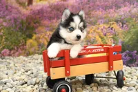 processed/437974a7-a463-427c-8264-8e668b295d69/listing/854817b3-2d0c-4e16-a74a-037b40d84813/9c6e34ed-6342-40f3-b638-c243f0dd0ec0