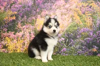 processed/437974a7-a463-427c-8264-8e668b295d69/listing/854817b3-2d0c-4e16-a74a-037b40d84813/a8fc3a24-1b71-4cb8-b1b8-fd05ae232b7b