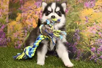 processed/437974a7-a463-427c-8264-8e668b295d69/listing/9ad1c52d-735a-47e6-935d-dfab0be66c8c/649e3fc4-fdc8-4fd0-b008-ad1dabdfea2f