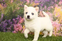 processed/437974a7-a463-427c-8264-8e668b295d69/listing/eee55bb5-b597-4566-bdfa-b9b1c1a001d1/0afe560d-ada9-4289-b36c-df8f290b2e0b