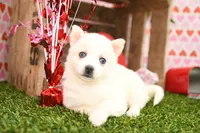 processed/437974a7-a463-427c-8264-8e668b295d69/listing/eee55bb5-b597-4566-bdfa-b9b1c1a001d1/b854cf6e-d5b2-4d56-b1bb-7a1857169c61