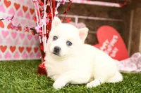 processed/437974a7-a463-427c-8264-8e668b295d69/listing/eee55bb5-b597-4566-bdfa-b9b1c1a001d1/bd4ebc69-fbd0-4943-8097-a8f7b7205714