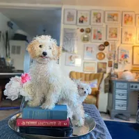 processed/437c25e8-5162-4a33-b90c-260a3b294676/facility/0a45021b-451b-4f0d-a2d0-5d3503360f68