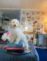 processed/437c25e8-5162-4a33-b90c-260a3b294676/facility/0a45021b-451b-4f0d-a2d0-5d3503360f68