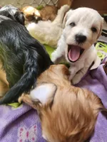 processed/437c25e8-5162-4a33-b90c-260a3b294676/facility/20800396-a858-4483-9ec9-cff5235fc520