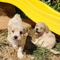 processed/437c25e8-5162-4a33-b90c-260a3b294676/facility/2b359ac9-f85c-4e6f-aaf2-999761c85a37