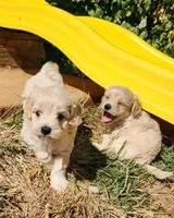 processed/437c25e8-5162-4a33-b90c-260a3b294676/facility/2b359ac9-f85c-4e6f-aaf2-999761c85a37