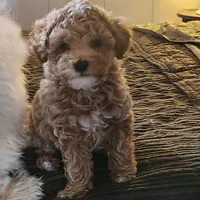 processed/437c25e8-5162-4a33-b90c-260a3b294676/facility/560668ae-1ccb-405b-985a-78765eea53c8