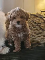 processed/437c25e8-5162-4a33-b90c-260a3b294676/facility/560668ae-1ccb-405b-985a-78765eea53c8