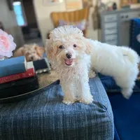 processed/437c25e8-5162-4a33-b90c-260a3b294676/facility/60fbbaa7-5f0c-4313-bafa-bab52dcd56b0