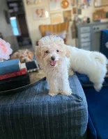 processed/437c25e8-5162-4a33-b90c-260a3b294676/facility/60fbbaa7-5f0c-4313-bafa-bab52dcd56b0