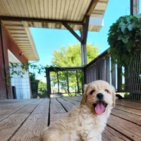 processed/437c25e8-5162-4a33-b90c-260a3b294676/facility/93a5b8e7-f378-401b-a5ad-6e6c64d9856f